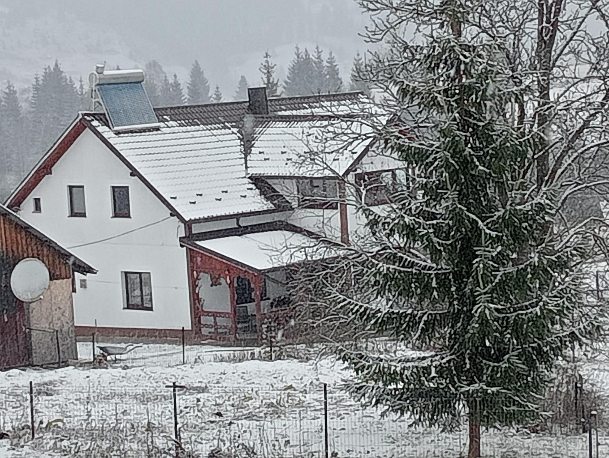 Casa Vasy Guest House Vatra Dornei Exterior photo