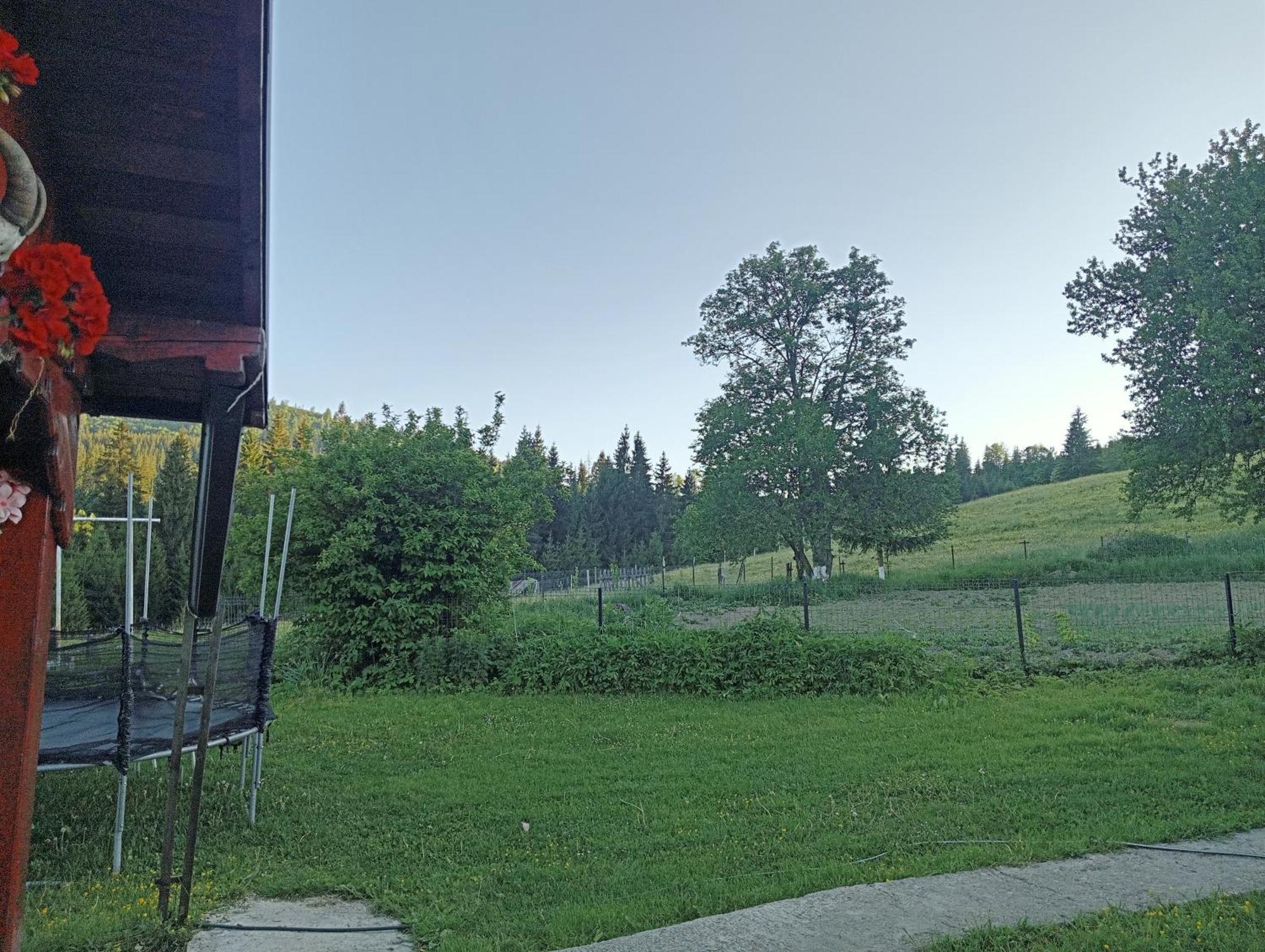Casa Vasy Guest House Vatra Dornei Exterior photo