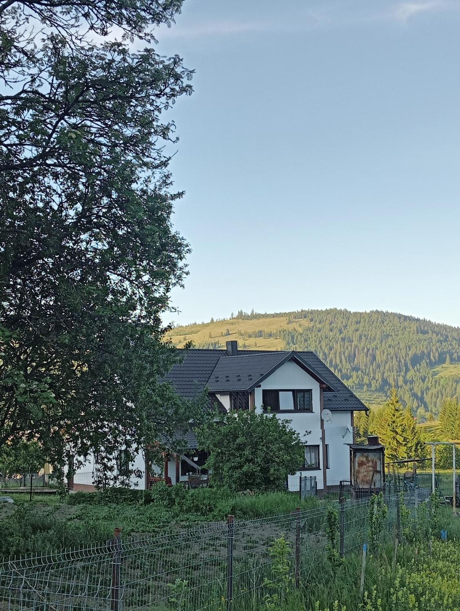 Casa Vasy Guest House Vatra Dornei Exterior photo