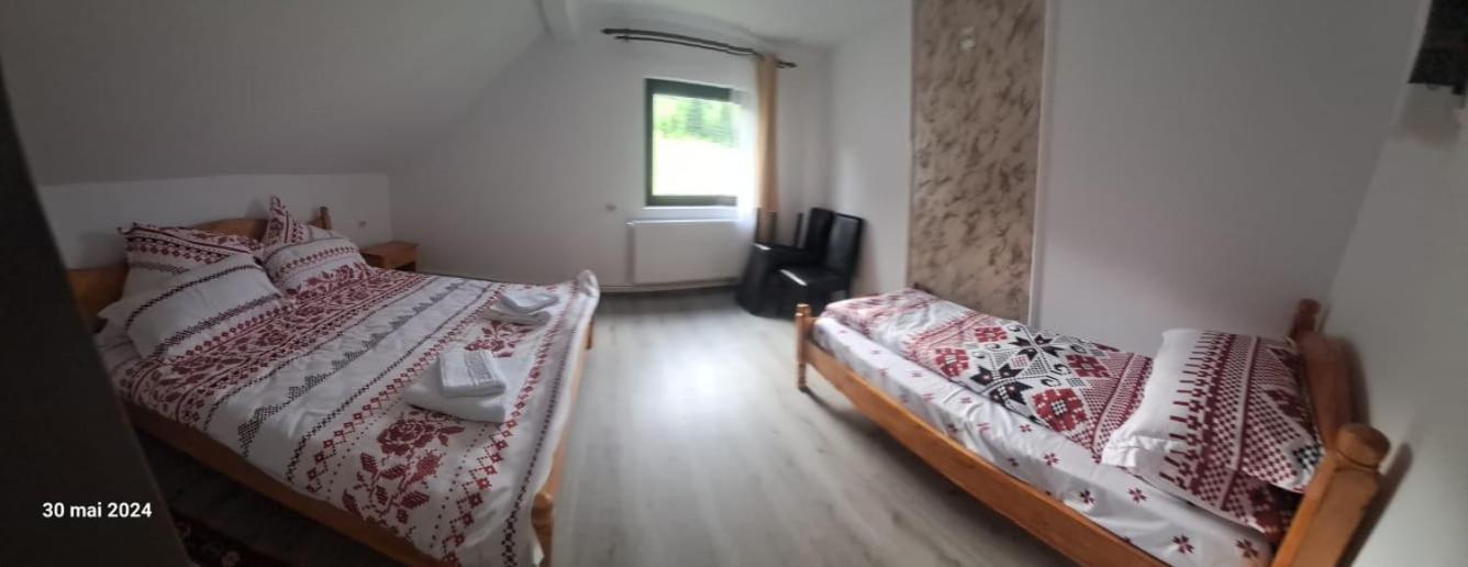 Casa Vasy Guest House Vatra Dornei Exterior photo